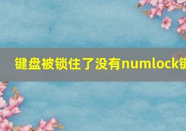 键盘被锁住了没有numlock键