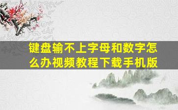 键盘输不上字母和数字怎么办视频教程下载手机版