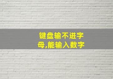 键盘输不进字母,能输入数字