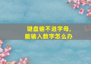 键盘输不进字母,能输入数字怎么办