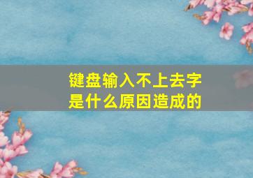 键盘输入不上去字是什么原因造成的