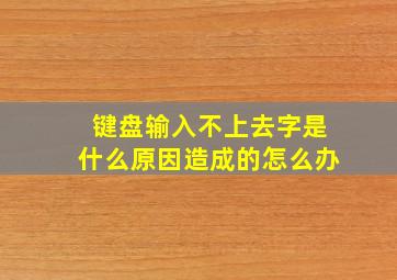 键盘输入不上去字是什么原因造成的怎么办