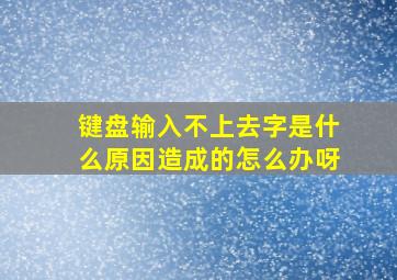 键盘输入不上去字是什么原因造成的怎么办呀