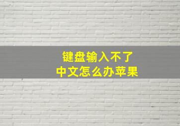 键盘输入不了中文怎么办苹果