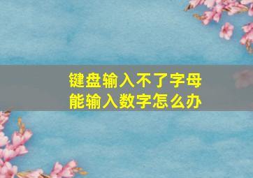 键盘输入不了字母能输入数字怎么办