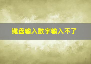 键盘输入数字输入不了