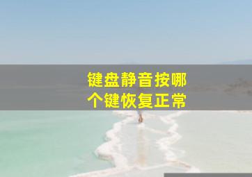 键盘静音按哪个键恢复正常