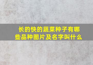 长的快的蔬菜种子有哪些品种图片及名字叫什么