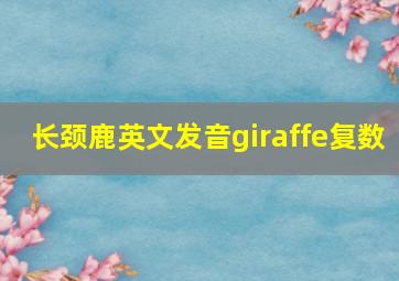 长颈鹿英文发音giraffe复数