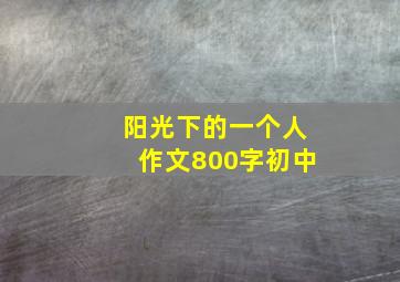 阳光下的一个人作文800字初中