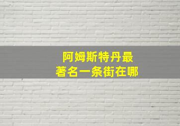 阿姆斯特丹最著名一条街在哪