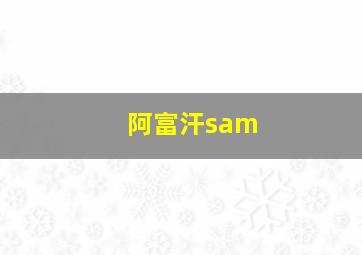 阿富汗sam