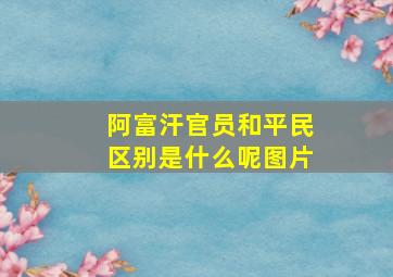 阿富汗官员和平民区别是什么呢图片