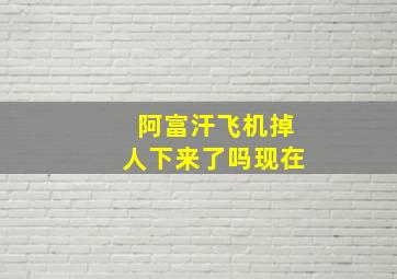 阿富汗飞机掉人下来了吗现在