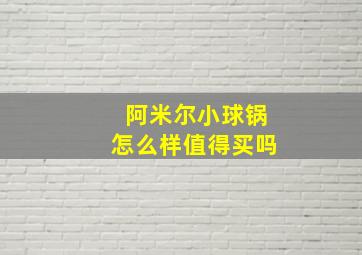 阿米尔小球锅怎么样值得买吗