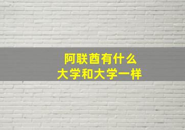 阿联酋有什么大学和大学一样