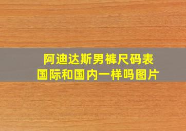 阿迪达斯男裤尺码表国际和国内一样吗图片