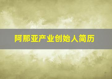 阿那亚产业创始人简历