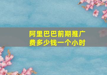 阿里巴巴前期推广费多少钱一个小时