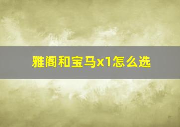 雅阁和宝马x1怎么选