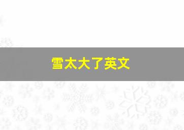 雪太大了英文