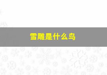 雪雕是什么鸟