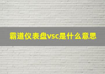 霸道仪表盘vsc是什么意思