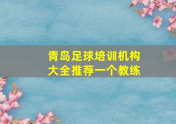 青岛足球培训机构大全推荐一个教练