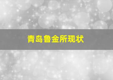 青岛鲁金所现状