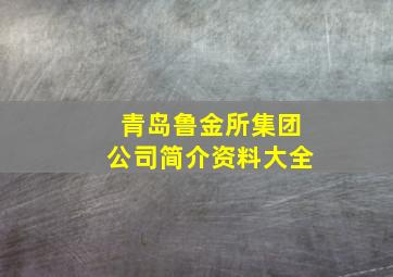 青岛鲁金所集团公司简介资料大全