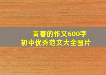 青春的作文600字初中优秀范文大全图片