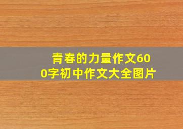 青春的力量作文600字初中作文大全图片