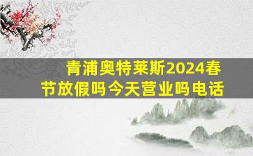 青浦奥特莱斯2024春节放假吗今天营业吗电话