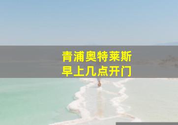 青浦奥特莱斯早上几点开门