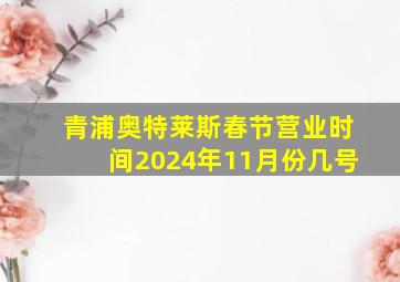 青浦奥特莱斯春节营业时间2024年11月份几号