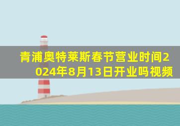 青浦奥特莱斯春节营业时间2024年8月13日开业吗视频