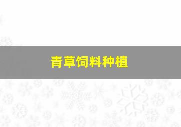 青草饲料种植