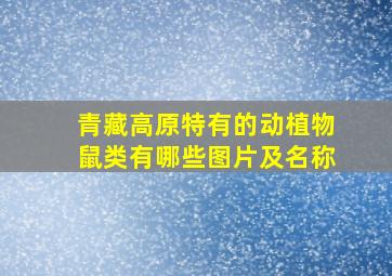 青藏高原特有的动植物鼠类有哪些图片及名称