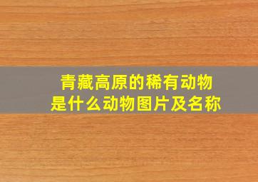 青藏高原的稀有动物是什么动物图片及名称