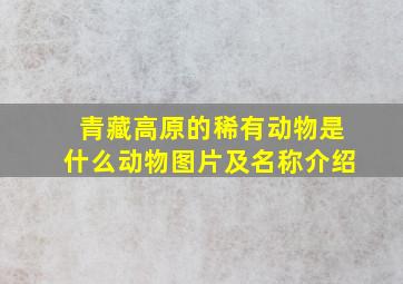 青藏高原的稀有动物是什么动物图片及名称介绍