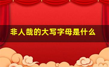 非人哉的大写字母是什么