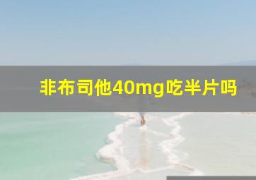 非布司他40mg吃半片吗