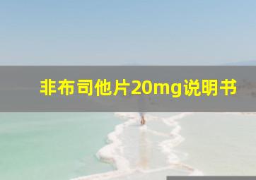 非布司他片20mg说明书