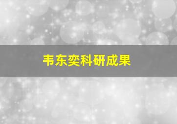 韦东奕科研成果