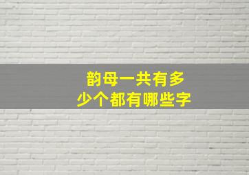 韵母一共有多少个都有哪些字