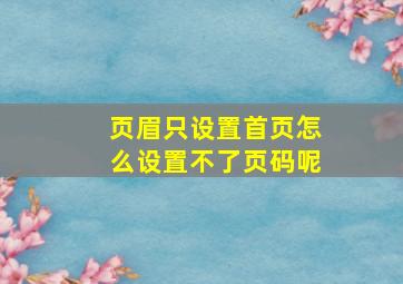 页眉只设置首页怎么设置不了页码呢