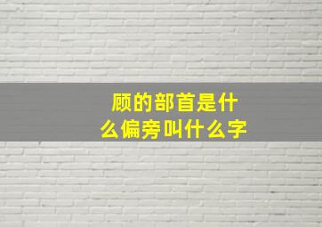 顾的部首是什么偏旁叫什么字