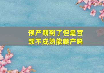 预产期到了但是宫颈不成熟能顺产吗