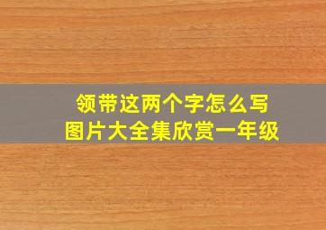 领带这两个字怎么写图片大全集欣赏一年级