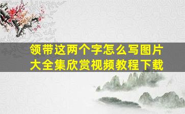 领带这两个字怎么写图片大全集欣赏视频教程下载